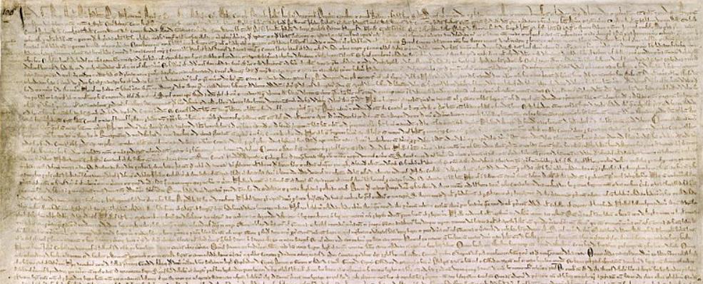 Power to the people: NLIU student Magna Carta nearly has final approval