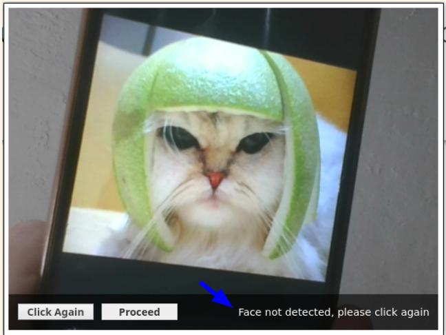 Cat does not have a candidate face, says AI