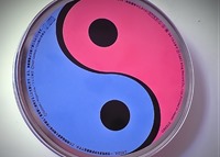 Two sides of same coin: Male and female, Yin and yang